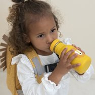 Trixie Bottle Код 77303 Детска бутилка от неръждаема стомана с практичен накрайник 350ml, Код 77304 - Mrs. Lion Trixie Bottle Код 77303 Детска бутилка от неръждаема стомана с практичен накрайник 350ml, Код 77304 - Mrs. Lion