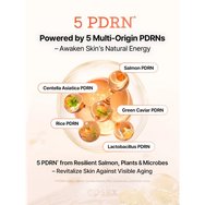 COSRX 5 PDRN Adenosine & Niacinamide Collagen Intense Vitalizing Serum 100ml