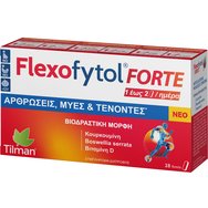 Tilman Flexofytol Forte 28tabs