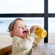 Tommee Tippee SuperStar Bacshield Sippee Cup 12m+, 390ml