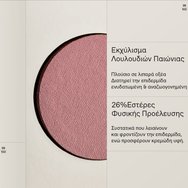 Korres Natural Fresh Blush 4.5g - 03 Dusty Rose