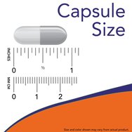 Now Foods Acetyl L-Carnitine 500mg 50veg.caps Now Foods Acetyl L-Carnitine 500mg 50veg.caps