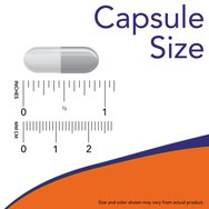 Now Foods GABA 500mg 100veg.caps