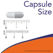 Now Foods Vitamin C-500 With Rose Hips 100tabs Now Foods Vitamin C-500 With Rose Hips 100tabs