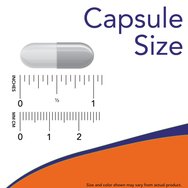 Now Foods L-Lysine 500mg 100veg.caps Now Foods L-Lysine 500mg 100veg.caps