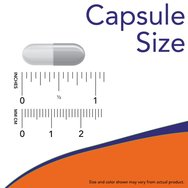Now Foods L-Theanine 100mg 90veg.caps Now Foods L-Theanine 100mg 90veg.caps