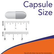 Now Foods Choline & Inositol 100veg.caps Now Foods Choline & Inositol 100veg.caps
