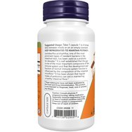 Now Foods Acidophilus Two Billion 100caps Now Foods Acidophilus Two Billion 100caps