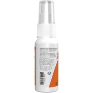 Now Foods B-12 Liposomal Spray 59ml Now Foods B-12 Liposomal Spray 59ml