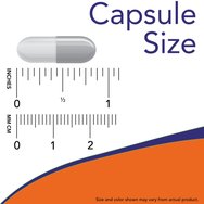 Now Foods Panax Ginseng 500mg 100veg.caps