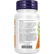 Now Foods Ashwagandha 450mg 90veg.caps Now Foods Ashwagandha 450mg 90veg.caps
