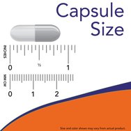 Now Foods Ashwagandha 450mg 90veg.caps Now Foods Ashwagandha 450mg 90veg.caps