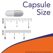 Now Foods Ginkgo Biloba 60mg 60veg.caps Now Foods Ginkgo Biloba 60mg 60veg.caps