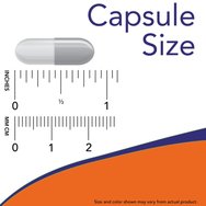 Now Foods Green Tea Extract 400mg 100veg.caps Now Foods Green Tea Extract 400mg 100veg.caps