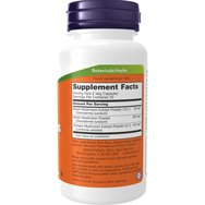 Now Foods Rei-Shi Mushrooms 270mg Хранителна добавка, която повишава нормалната имунна реакция на организма 100caps Now Foods Rei-Shi Mushrooms 270mg Хранителна добавка, която повишава нормалната имунна реакция на организма 100caps