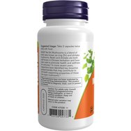 Now Foods Rei-Shi Mushrooms 270mg Хранителна добавка, която повишава нормалната имунна реакция на организма 100caps Now Foods Rei-Shi Mushrooms 270mg Хранителна добавка, която повишава нормалната имунна реакция на организма 100caps