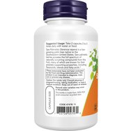 Now Foods Acetyl L-Carnitine 500mg 50veg.caps