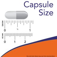 Now Foods Acetyl L-Carnitine 500mg 50veg.caps