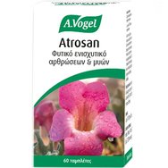 A.Vogel Atrosan 60tabs - Хранителна добавка с екстракт от рапагофит за добро функциониране на ставите и опорно-двигателния апарат A.Vogel Atrosan 60tabs - Хранителна добавка с екстракт от рапагофит за добро функциониране на ставите и опорно-двигателния апарат