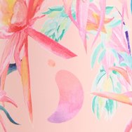 Chilly\'s Series 2 Bottle 500ml, Код 22826 - Botanical Cactus Flower