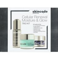 Skincode Promo Exclusive Cellular Renewal Retinol Serum 30ml & Extreme Moisture Mask 50ml & Perfect Skin Capsules 15 бр - Мощен серум против бръчки с ретинол за зряла и матова кожа за динамично обновяване на тена и текстурата & Незабавно хидратираща маска, която стимулира производството на колаген & Серумни капсули с мощна антиоксидантна смес