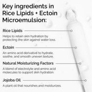 The Ordinary Rise Lipids & Ectoin Microemulsion Fluid Cream 60ml