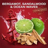 Old Spice Promo Captain Deodorant Body Spray 150ml & Deodorant Stick 50ml & 3in1 Shower & Shampoo Gel 250ml & Подарък торбичка 1 бр Old Spice Promo Captain Deodorant Body Spray 150ml & Deodorant Stick 50ml & 3in1 Shower & Shampoo Gel 250ml & Подарък торбичка 1 бр