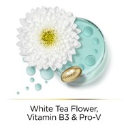 Pantene Hair Biology Meno Balance Revitalize & Soothe Conditioner With Pro-V, Vitamin B3 & White tea 160ml