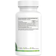 Green Forest Vitamins Pali Effect 60veg.caps