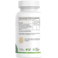 Green Forest Vitamins Magnesium Bisglycinate 200mg 60veg.caps Green Forest Vitamins Magnesium Bisglycinate 200mg 60veg.caps