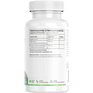 Green Forest Vitamins Berberine Complex 60veg.caps