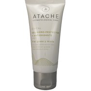Atache C Vital Gel Day Cream Oily to Mixed Skin 50ml