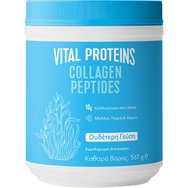 Vital Proteins Collagen Peptides 567g Vital Proteins Collagen Peptides 567g