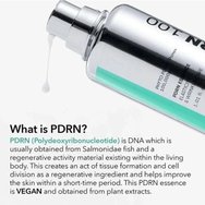 VT Cosmetics PDRN Essence 100 Elasticity & Wrinkle Care Serum 30ml