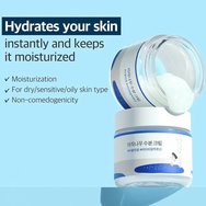 Round Lab Birch Juice Moisturizing Face Cream 80ml