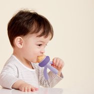 b.box Silicone Fresh Food Feeder 4m+, 1 бр - Peony b.box Silicone Fresh Food Feeder 4m+, 1 бр - Peony