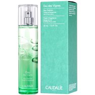 Caudalie Eau Des Vignes Fresh Fragrance Свеж & елегантен дамски аромат с нотки на бергамот, ирис & бял мускус, вдъхновен от лятото сред лозята 50ml Caudalie Eau Des Vignes Fresh Fragrance Свеж & елегантен дамски аромат с нотки на бергамот, ирис & бял мускус, вдъхновен от лятото сред лозята 50ml