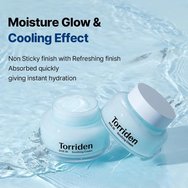 Torriden Dive in Low Molecular Hyaluronic Acid Soothing Cream 100ml