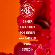 Roger & Gallet Gingembre Rouge 24h Deodorant Stick 50g Roger & Gallet Gingembre Rouge 24h Deodorant Stick 50g