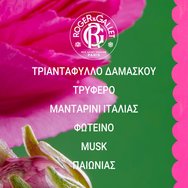 Roger & Gallet Rose Deodorant Stick 50g Roger & Gallet Rose Deodorant Stick 50g