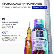 Phyto Promo Phytophanere 240caps (2x120caps) Phyto Promo Phytophanere 240caps (2x120caps)