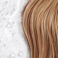 Phyto Douceur Softness Shampoo for All Hair Types - 750ml Refill Phyto Douceur Softness Shampoo for All Hair Types - 750ml Refill