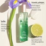 Caudalie Eau Des Vignes Fresh Fragrance Свеж & елегантен дамски аромат с нотки на бергамот, ирис & бял мускус, вдъхновен от лятото сред лозята 50ml Caudalie Eau Des Vignes Fresh Fragrance Свеж & елегантен дамски аромат с нотки на бергамот, ирис & бял мускус, вдъхновен от лятото сред лозята 50ml