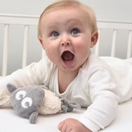 Sweet Dreamers Ewan Shuggly Код EW820125, 1 бр - Сив