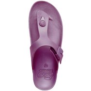 Scholl Shoes Bahia Flip-Flop F274541066 Wine 1 чифт
