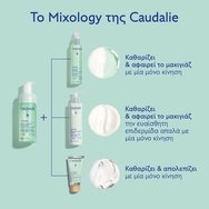 Caudalie Vinoclean Daily Foaming Cleanser Хидратираща, пречистваща почистваща пяна за лице с грозде & градински чай 150ml