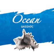 SempreViva Ocean Soap, Χειροποίητο Σαπούνι Ωκεανός 120gr