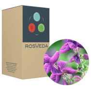 RosVeda Pure Essential Oil Clary Sage, 100% Билков състав, етерично масло от градински чай 10 мл RosVeda Pure Essential Oil Clary Sage, 100% Билков състав, етерично масло от градински чай 10 мл
