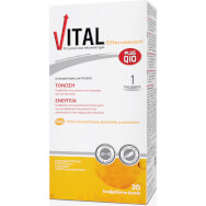 Vital Plus Q10 Eff Пълна и балансирана мултивитаминна хранителна добавка ефервесцентни таблетки 30Effer.Tabs Vital Plus Q10 Eff Пълна и балансирана мултивитаминна хранителна добавка ефервесцентни таблетки 30Effer.Tabs