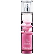 Δώρο Caudalie The Des Vignes Fresh Fragrance 30ml - Ακαταμάχητο, Πικάντικο Άρωμα με Νότες από Νέρολι, Τζίντζερ & Musk Δώρο Caudalie The Des Vignes Fresh Fragrance 30ml - Ακαταμάχητο, Πικάντικο Άρωμα με Νότες από Νέρολι, Τζίντζερ & Musk